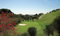 tramores golf course